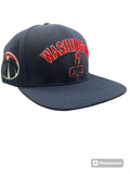 PRO STANDARD Washington DC The District Logo Snapback