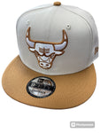 NEW ERA Chicago Bulls 2tone Colorpack Snapback