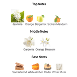 Ana Nasma by Zakat Eau De Parfum 100 ML (3.4 FL OZ) Women