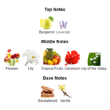 Bonita Pour Femme By Le Falcone Eau De Parfum 100 ML (3.4 FL OZ) Women