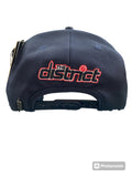 PRO STANDARD Washington DC The District Logo Snapback