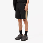 Men LACOSTE Regular Fit Colorblock Fleece Shorts