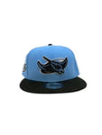 Men NEW ERA Tampa Bay Rays 2 Tone 9Fifty Snapback