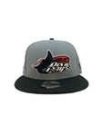 Men NEW ERA Tampa Bay Rays 2 Tone 9Fifty Snapback