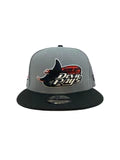 Men NEW ERA Tampa Bay Rays 2 Tone 9Fifty Snapback