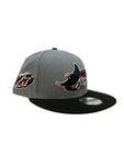 Men NEW ERA Tampa Bay Rays 2 Tone 9Fifty Snapback