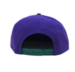 NEW ERA 9Fifty Custom Tampa Bay Rays Snapback