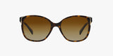 PRADA Women SPR010 Sunglasses In Havana