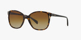 PRADA Women SPR010 Sunglasses In Havana