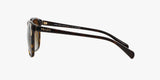 PRADA Women SPR010 Sunglasses In Havana