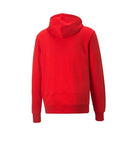 MEN PUMA PIVOT HOODIE EMB