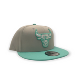 NEW ERA NBA Chicago Bulls 2T Color Pack 950 Snapback