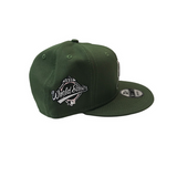 NEW ERA MLB Florida Marlins Custom 9Fifty Snapback